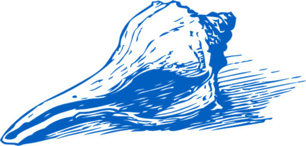 Shell Clipart Blue Sea - Blue Sea Shell Clipart (600x288)