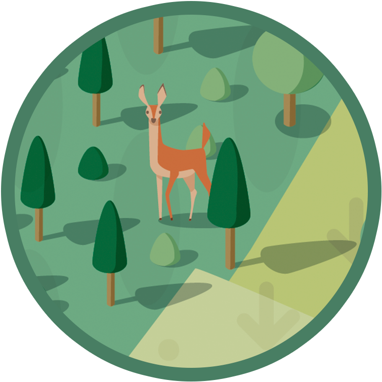 Vectorillustration Of A Deer In The Forest Carolin - Illustration (1122x783)