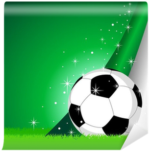 Fototapet Vektor Illustration Av En Fotball Med Ireland - Ball (400x400)