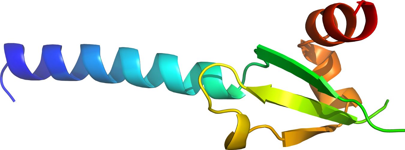 Logo Organism Line Clip Art - Logo Organism Line Clip Art (1350x500)