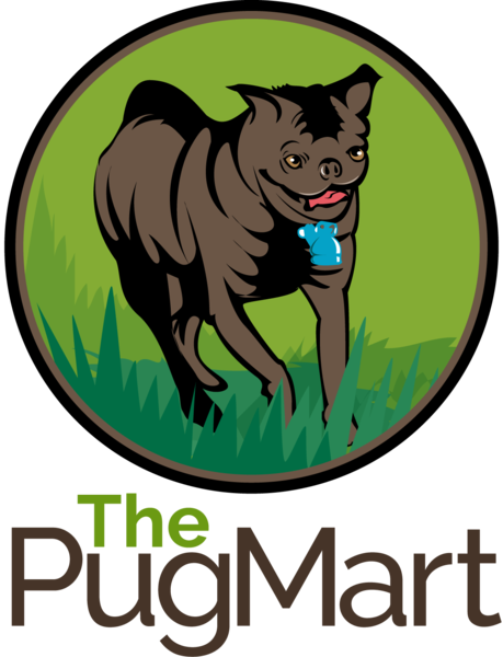 Instagram Pug Of The Day - Instagram (459x600)