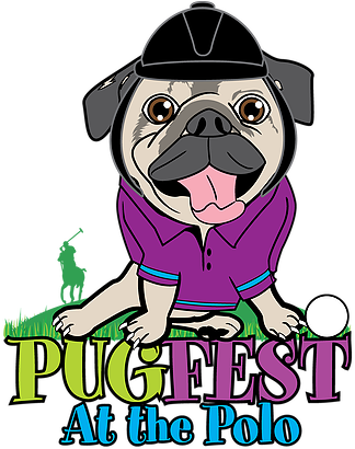 Pugfest And Pals Bridgend As Filmed By Chloe-ella Willcox - Pug (323x424)