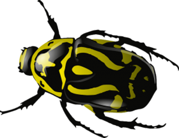 2017 Volkswagen Beetle Ladybird Clip Art - 2017 Volkswagen Beetle Ladybird Clip Art (600x465)