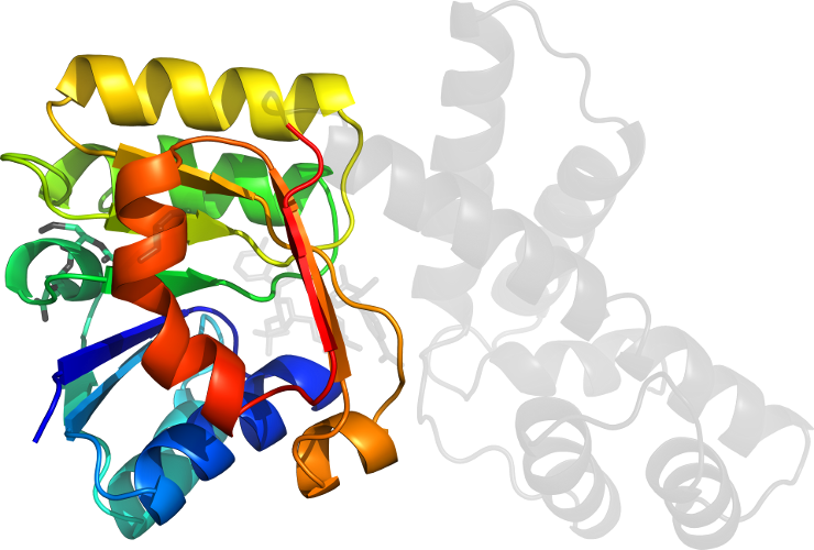 Line Clip Art - Line Clip Art (740x500)