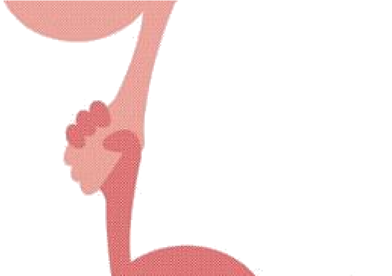 Mind And Heart (1200x565)