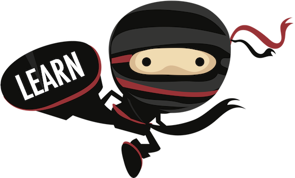 Ninja Kick (616x349)