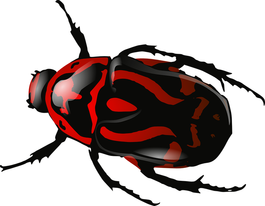 Volkswagen Beetle Clip Art - Volkswagen Beetle Clip Art (924x720)