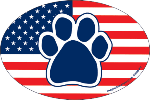 Imagine This Car Magnet, Pawlitical - Paw Print American Flag (480x320)