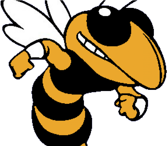 Hornet Clipart Albany - Hornet Clipart Png (640x480)