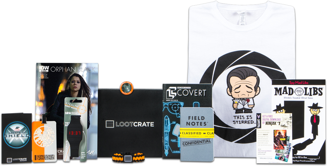 Monthly Geek And Gamer Subscription Box - Spy Mad Libs [book] (1200x667)