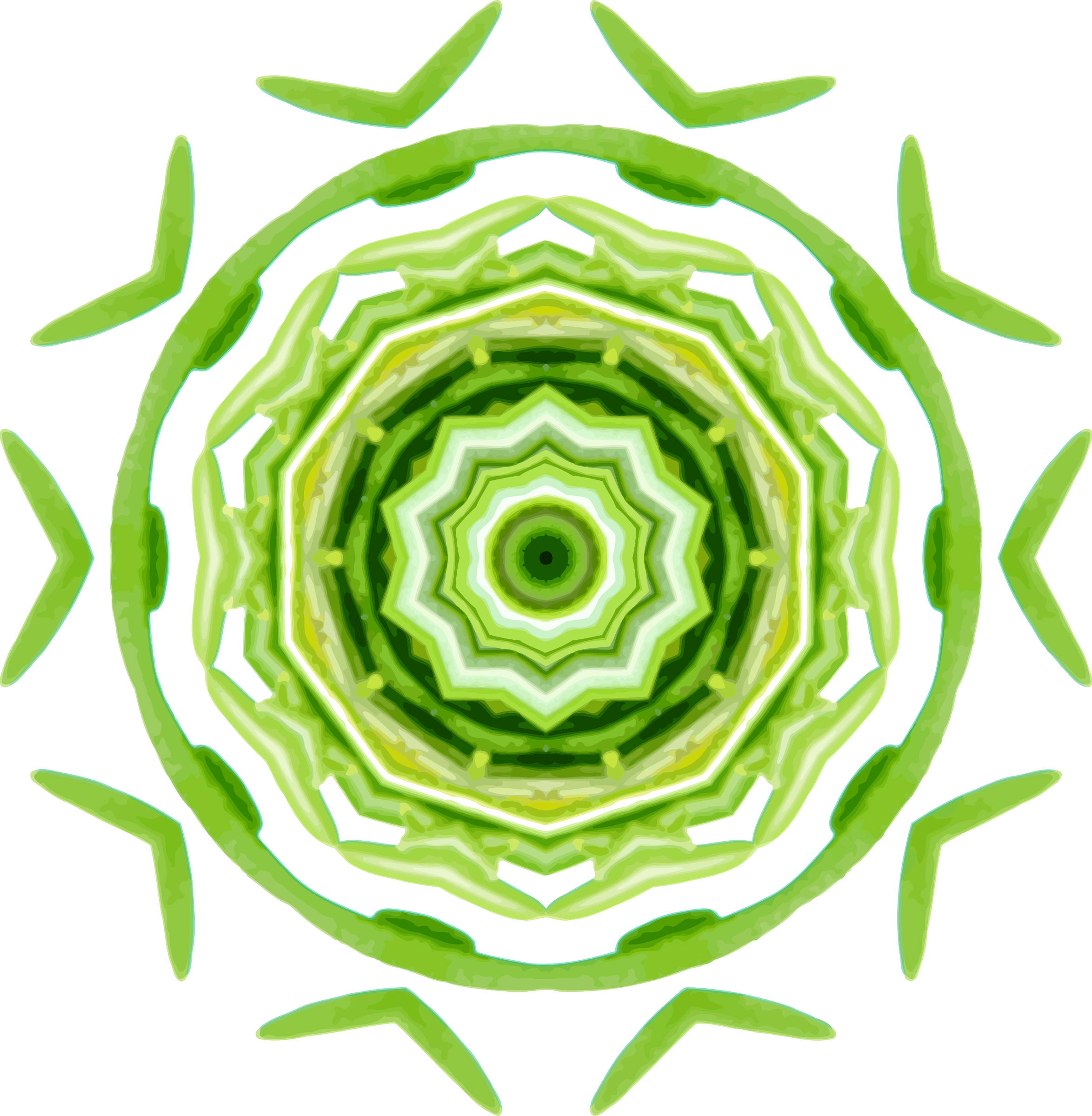 Rosemary Kaleidoscope 6 - Icon (2348x2400)