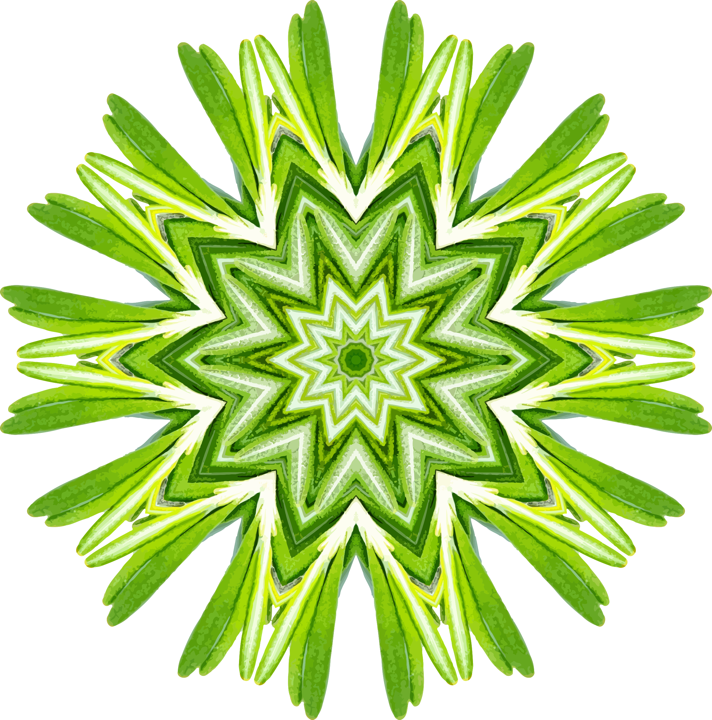 Rosemary Kaleidoscope 13 - Icon (2374x2400)