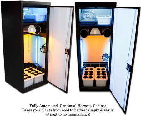 Super Star 16 Plant Grow Box - Super Closet Super Star (450x415)