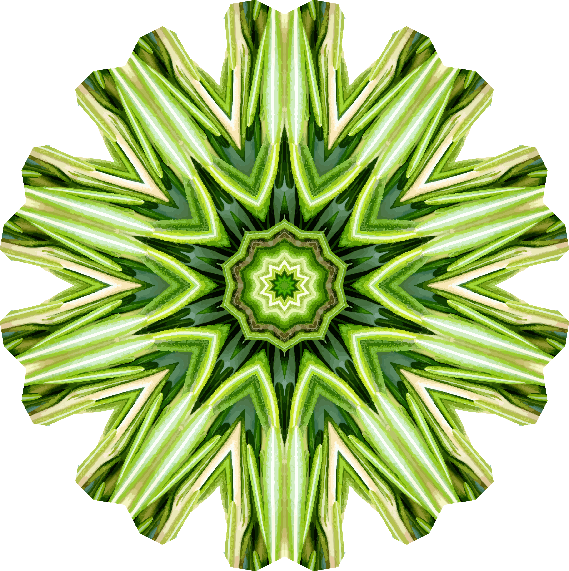Rosemary Kaleidoscope 19 - Kaleidoscope #19 (2390x2400)
