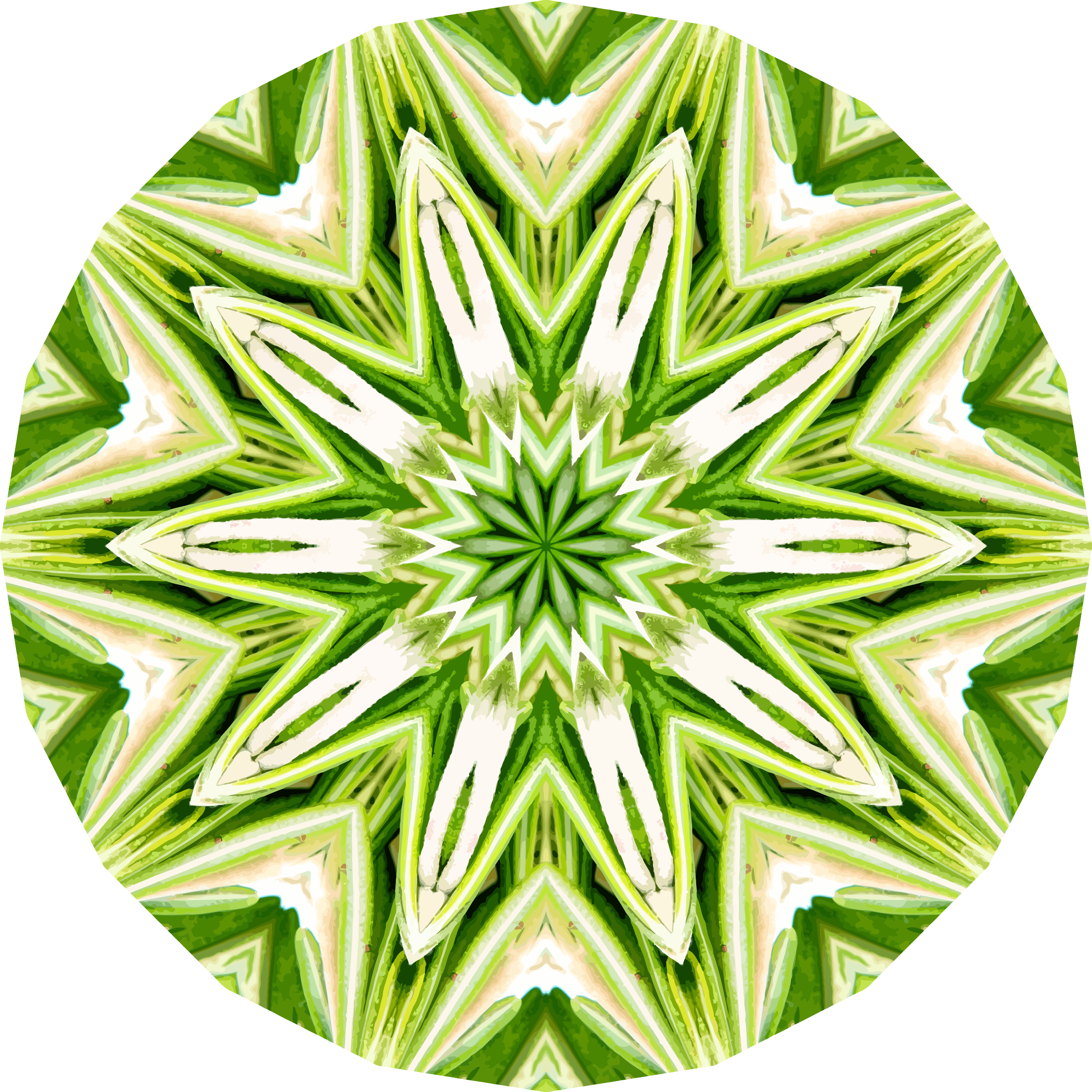 Rosemary Kaleidoscope 1 - Icon (2400x2400)
