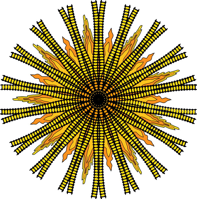 Clipart Info - Circle (792x800)