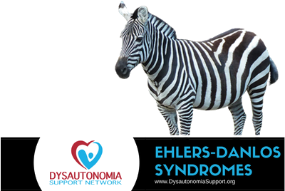 In Order To Spread Awareness Of Ehlers-danlos Syndromes - Transparent Background Png Zebra (400x400)