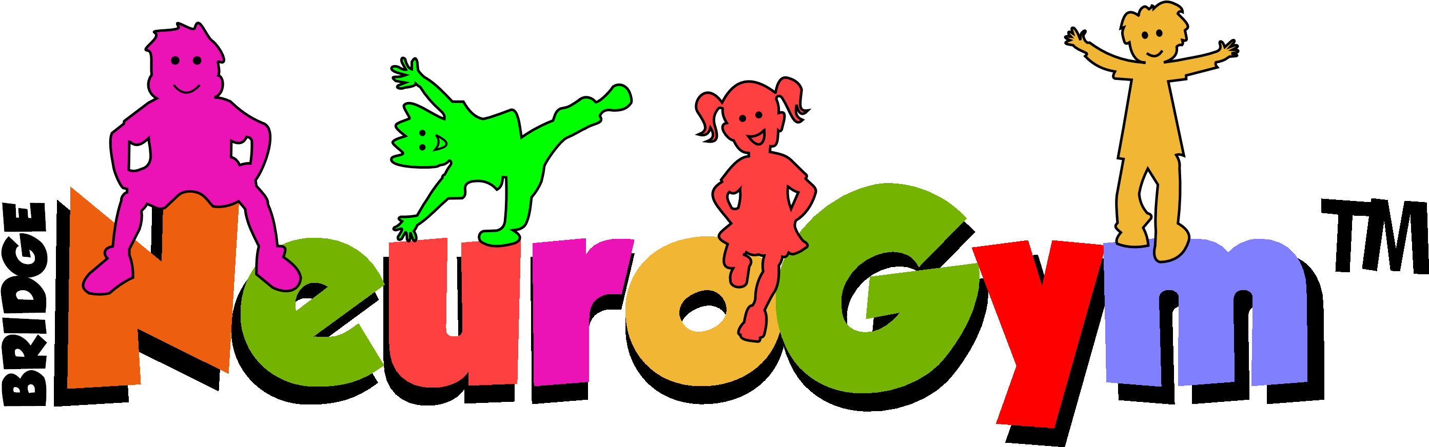 Bridge Neurogym™ Is A Brain And Physical Fitness Programme - Bridge Neurogym™ Is A Brain And Physical Fitness Programme (3044x905)