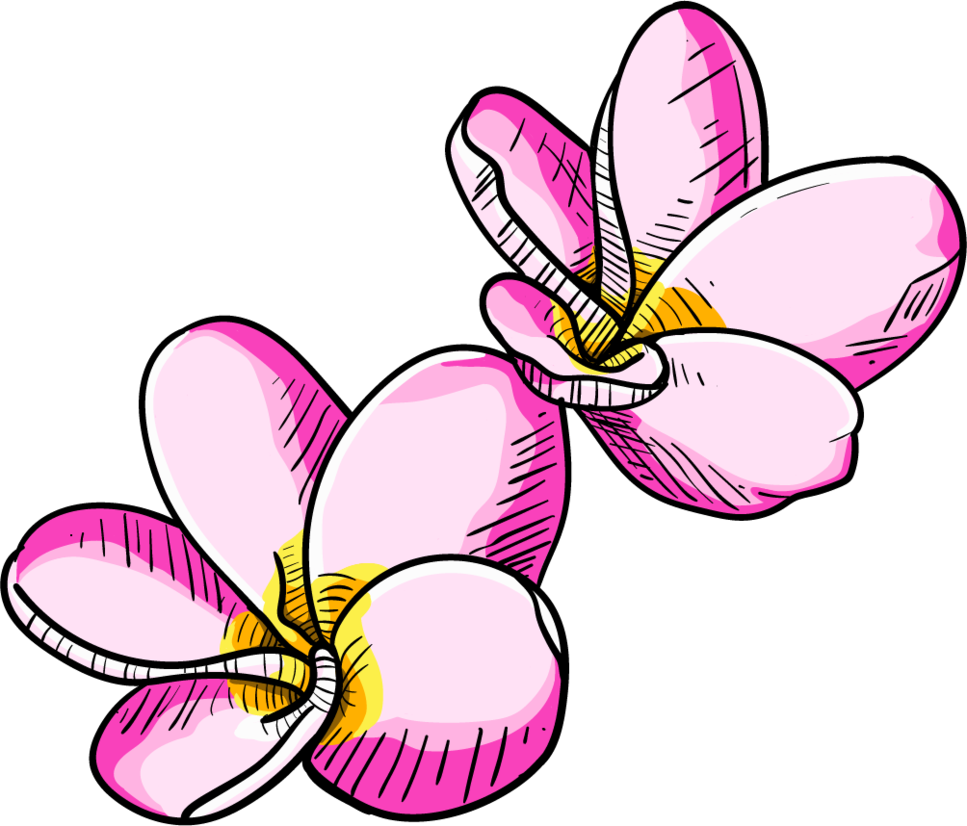 Tropical Flowers By Greasypalms - Tropical Flowers By Greasypalms (967x826)