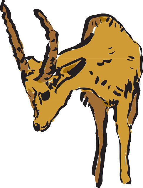 Looking, Art, Forest, Horns, Animal, Curious - Antelope (487x640)