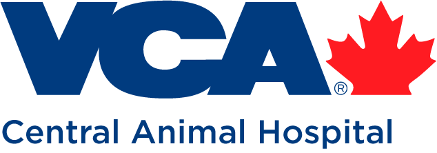 Central Animal Hospital Central Animal Hospital - Vca Canada (634x222)