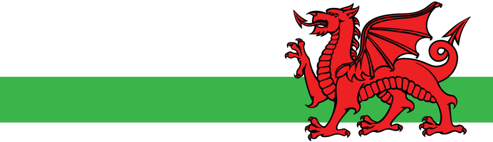 Custom Machining, Forging And Fabrication - Welsh Dragon (1000x288)