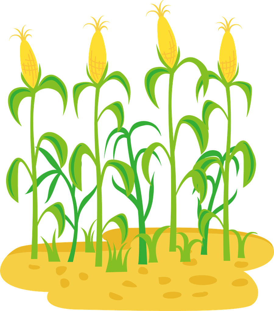 O Mágico De Oz - Clip Art (900x1023)