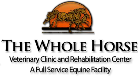 The Whole Horse Veterinary Clinic And Rehabilitation - Lion (460x290)