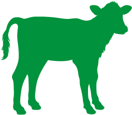 Milk-fed Calf - Baby Calf Silhouette (400x400)