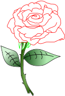 Free Single Rose Free Zooplankton Silhouette - Garden Roses (800x800)