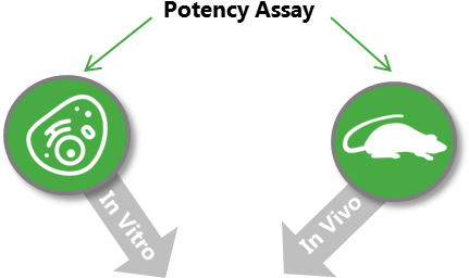Potency Assays - Cell Based Potency Assays (434x310)