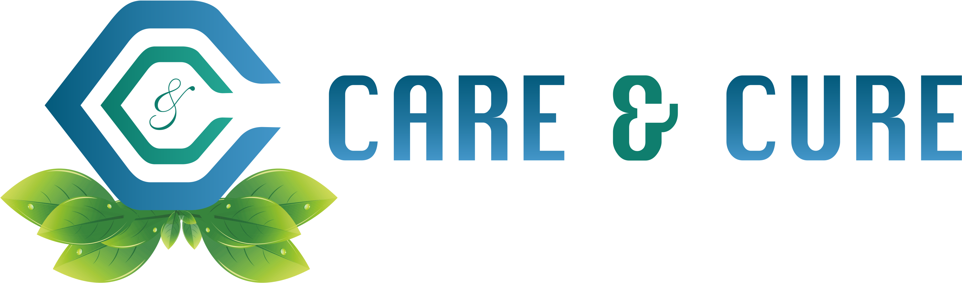 Logo - Health Care (3398x1096)