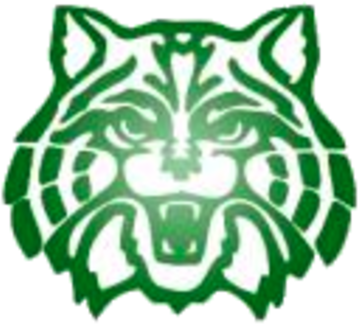 University Of Arizona Wildcats (720x642)