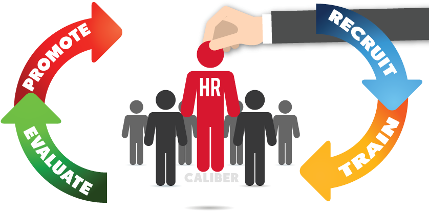 Our Products - Human Resource Management Png (850x436)