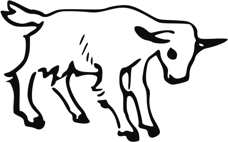 Completely Free Clipart Of A Goat - Outline Of A Goat (800x534)