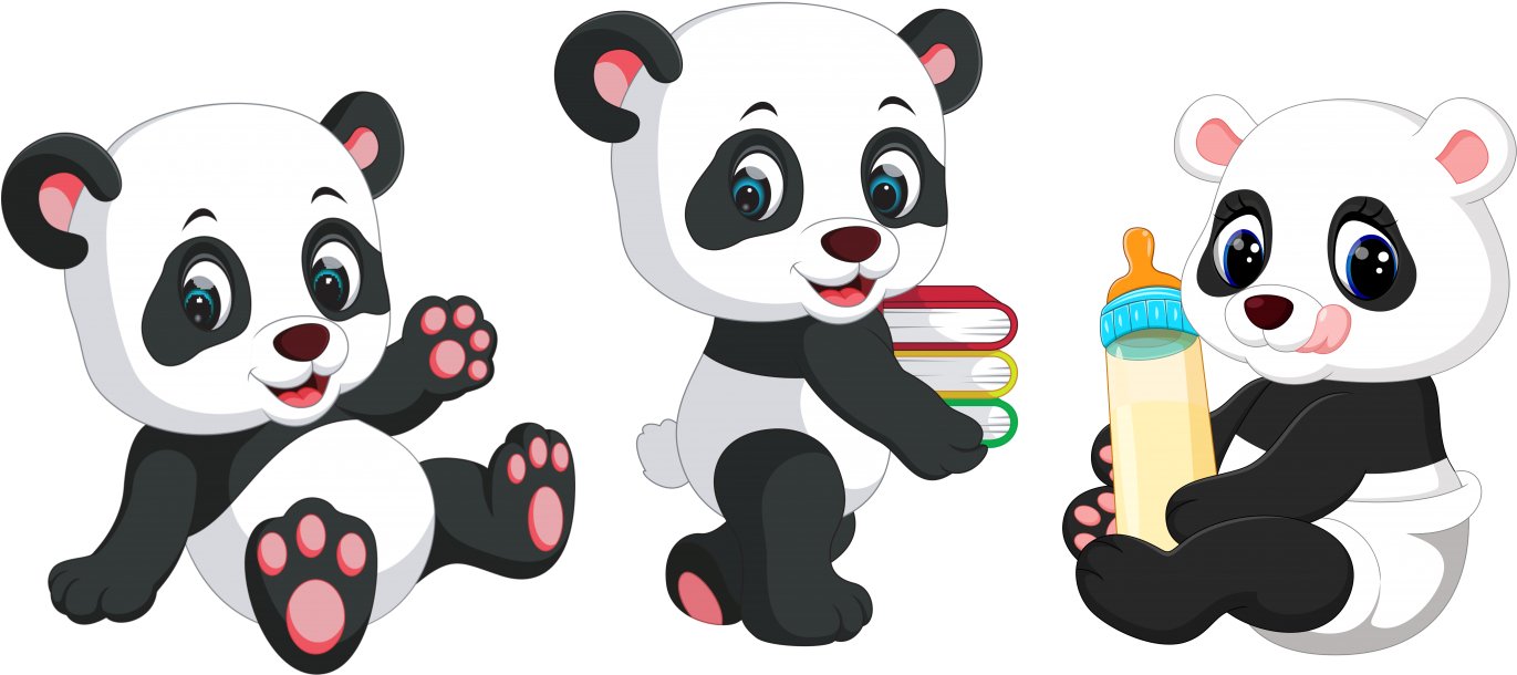 Trois Petits Pandas - Panda Picture Of Cartoon (1500x623)