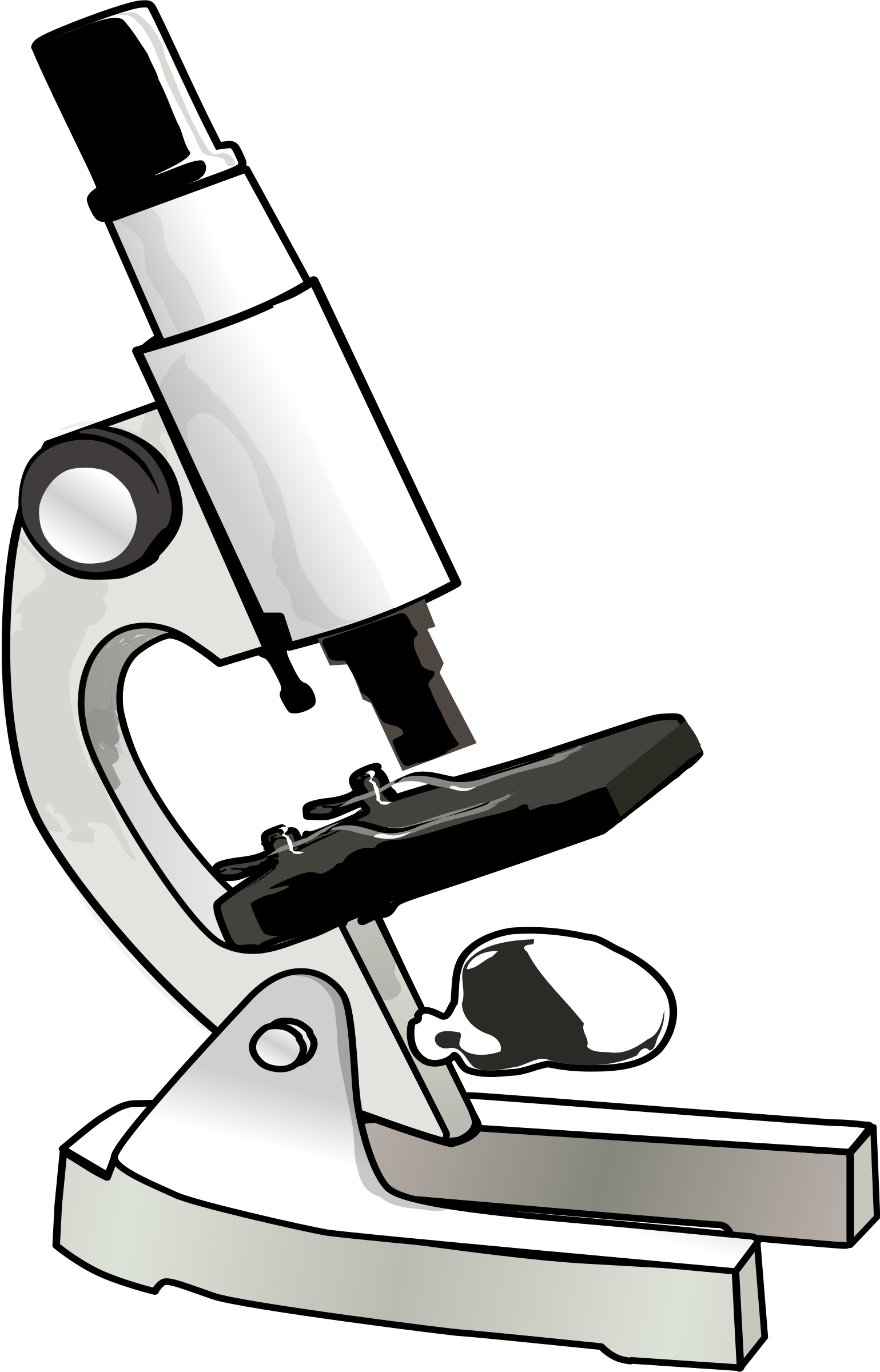 Microscope - Scientist Tools Clipart (1539x2400)