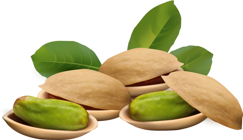 Other Popular Clip Arts - Pistachio Clipart (931x578)