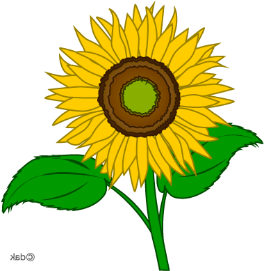 Sunflower Clip Art Clipart Free Clipart Microsoft Clipart - Sunflower Pictures Clip Art (400x400)