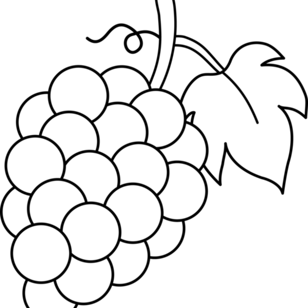 Grapes Clipart Grapes Black And White Lineart Free - Fruit Clip Art Black And White (1024x1024)
