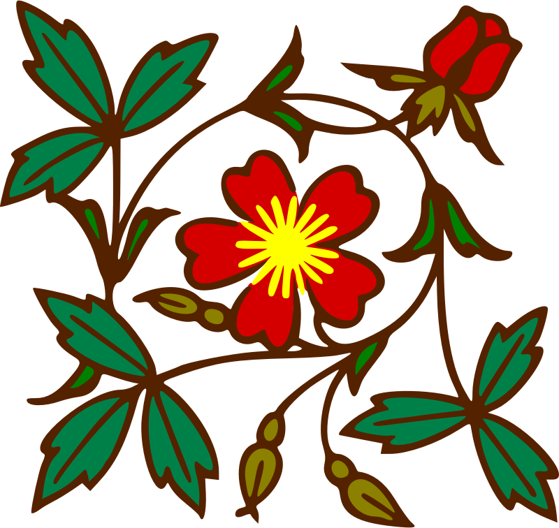 By Firkin - Floral Design (800x756)