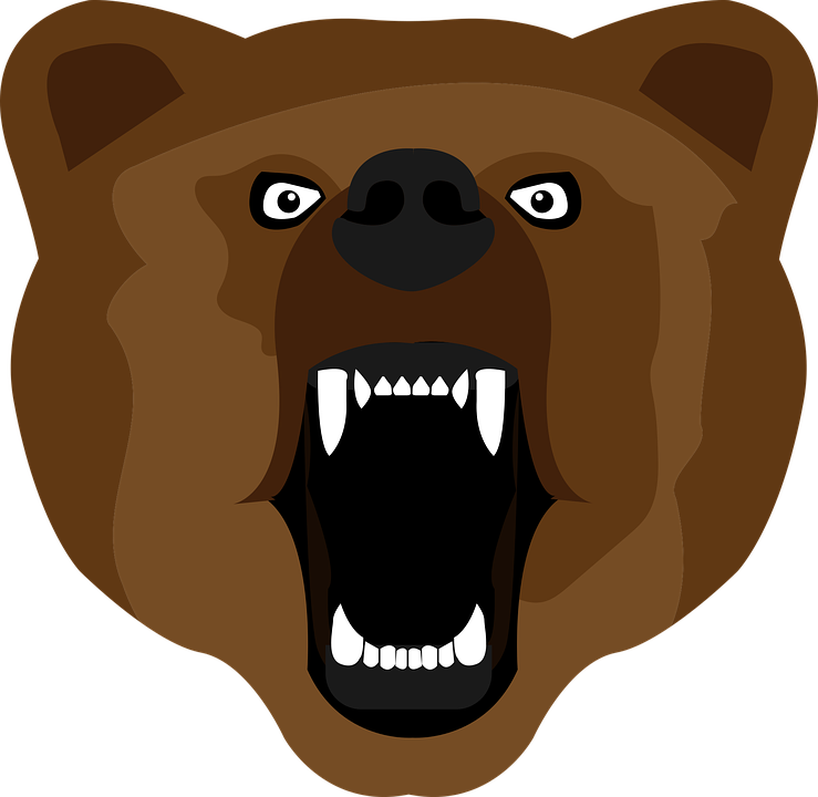 Bear, Brown, Set, Paw, Isolated, Icon - Bear (739x720)