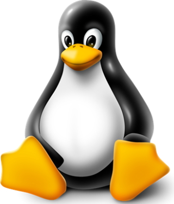 While Booting A New Windows 8 Pcs, The Secure Boot - Sistema Operativo Linux Png (340x400)