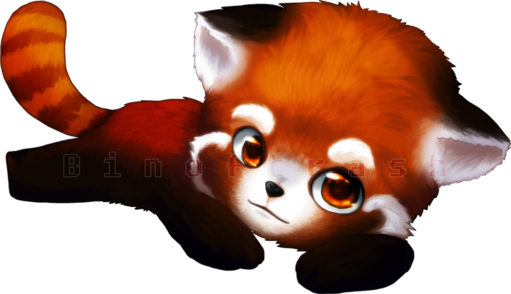 Red Panda Transparent Images All Clip Art - Red Panda Kawaii Png (1024x590)