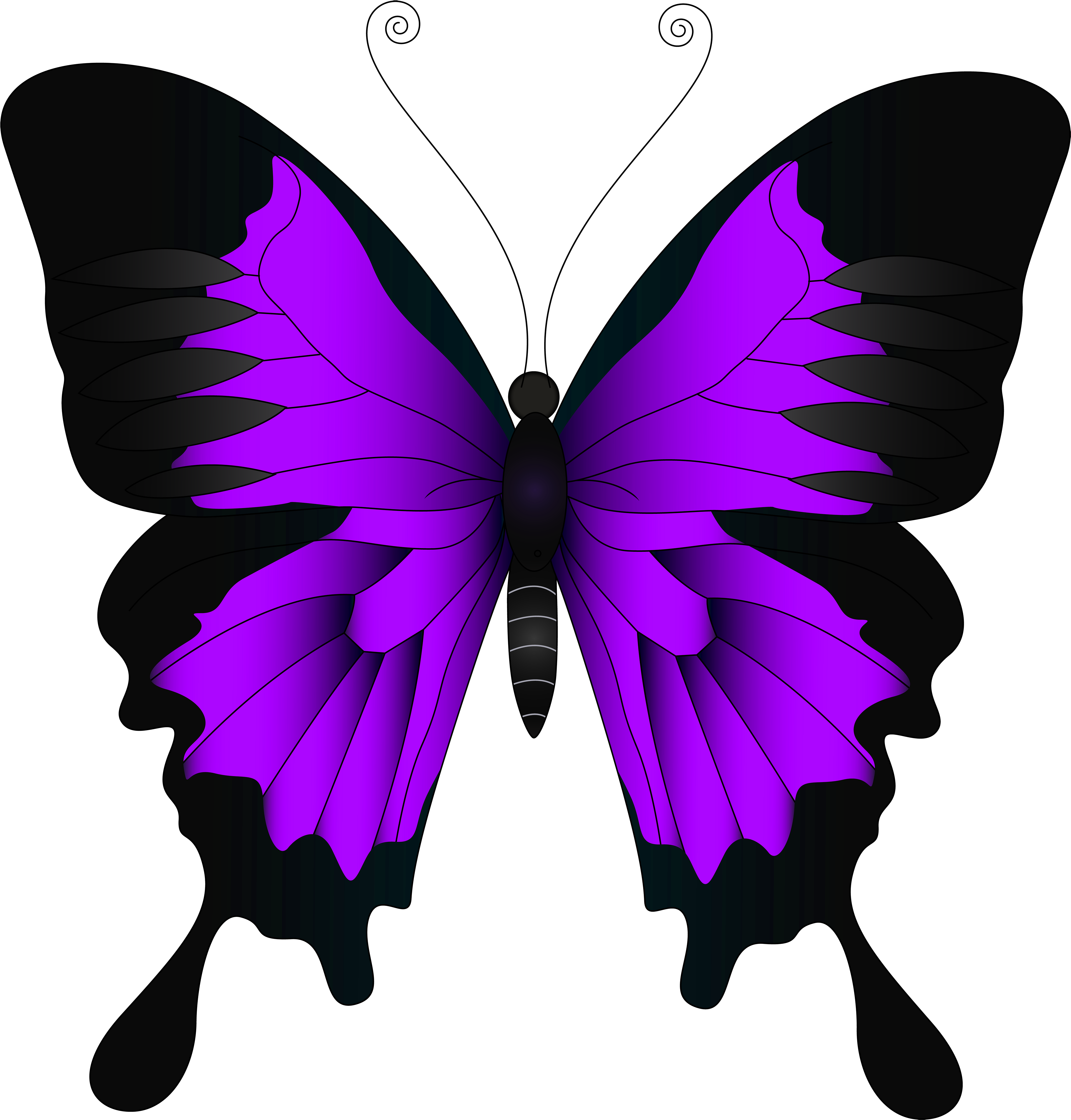 Butterfly High-definition Video Wallpaper - Purple Butterfly Clip Art (4783x5000)