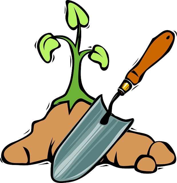 Spade-24434 - Gardening Clipart Png (619x640)