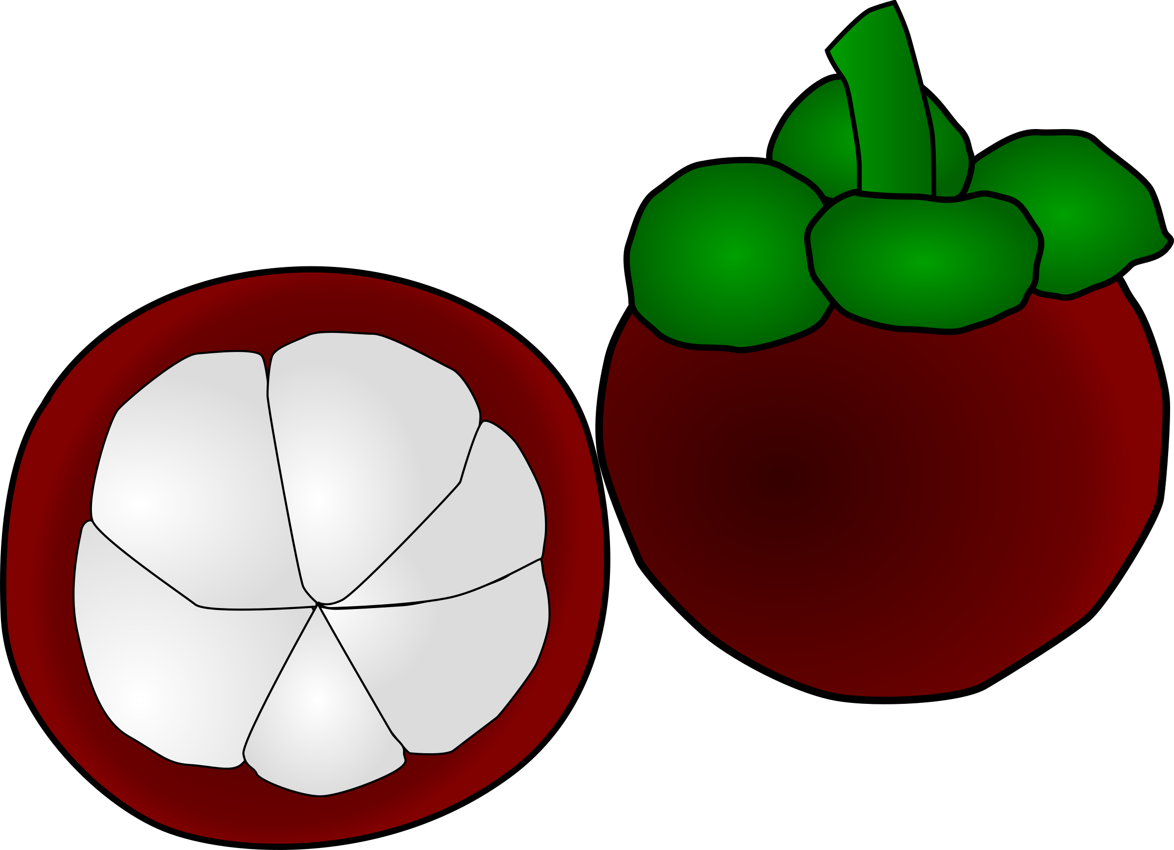 Garcinia Cambogia 52tg7 - Fruits Clipart (2400x1739)