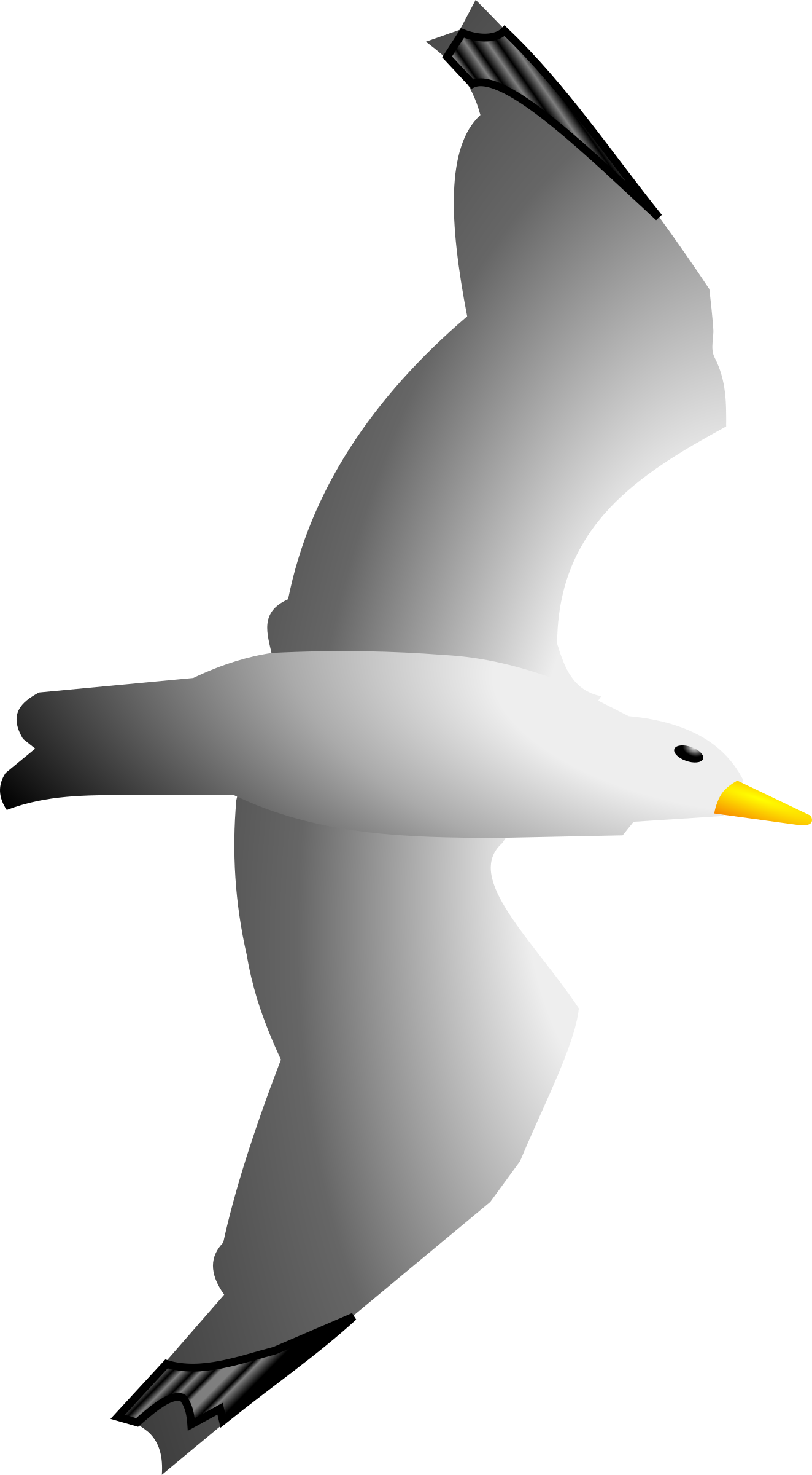 Seagull Clipart Clip Art Library - Seagull Flying Clipart (1323x2400)