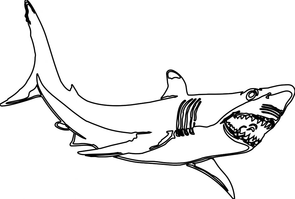 Largemouth Bass Fish Clip Art - Shark Clipart Black And White (940x636)