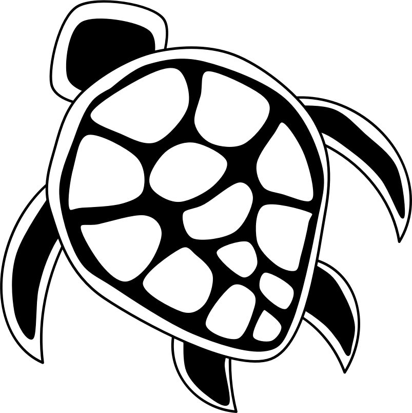 Turtle Clipart Line Drawing - Black And White Turtle Png (803x804)